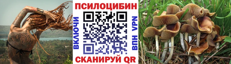 маркетплейс какой сайт  Хвалынск  Галлюциногенные грибы Cubensis 